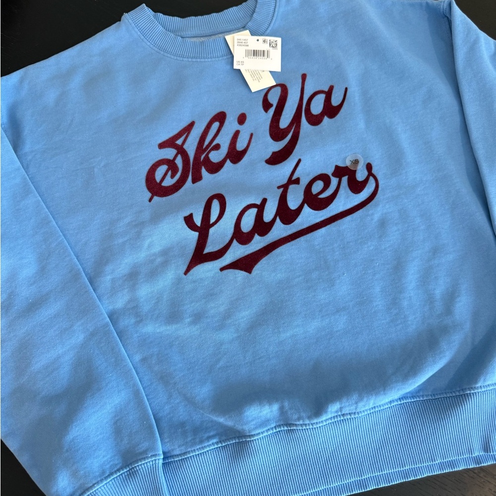 American Eagle Outfitters Blue Crew Neck Sweater